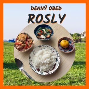 Denný tábor ROSLY obedy